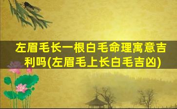 <b>左眉毛长一根白毛命理寓意吉利吗(左眉毛上长白毛吉凶)</b>