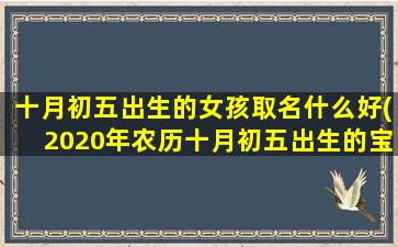 <b>十月初五出生的女孩取名什么好(2020年农历十月初五出生的宝宝好吗)</b>