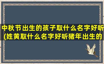 中秋节出生的孩子取什么名字好听(姓黄取什么名字好听猪年出生的)