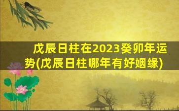 戊辰日柱在2023癸卯年运势(戊辰日柱哪年有好姻缘)