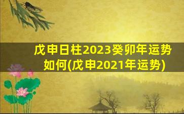 戊申日柱2023癸卯年运势如何(戊申2021年运势)