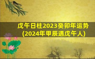 戊午日柱2023癸卯年运势(2024年甲辰遇戊午人)