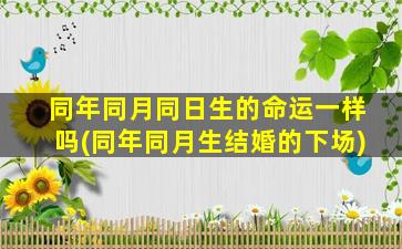 同年同月同日生的命运一样吗(同年同月生结婚的下场)