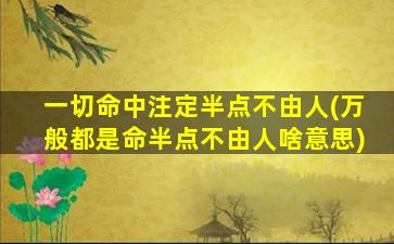 一切命中注定半点不由人(万般都是命半点不由人啥意思)