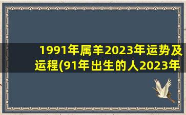 1991年属羊2023年运势及运程