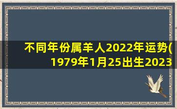 不同年份属羊人2022年运势