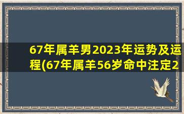 67年属羊男2023年运势及运