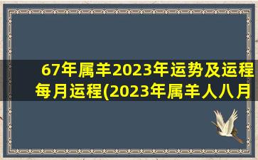 67年属羊2023年运势及运程