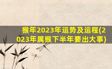 猴年2023年运势及运程(2023年属猴下半年要出大事)