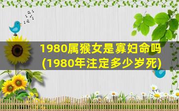 1980属猴女是寡妇命吗(1980年注定多少岁死)