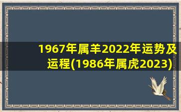 1967年属羊2022年运势及运程(1986年属虎2023)