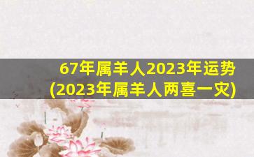 <strong>67年属羊人2023年运势(202</strong>