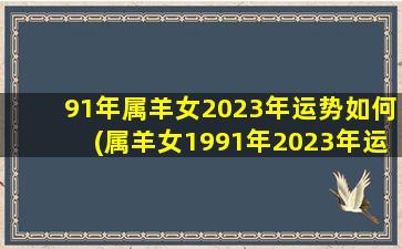 91年属羊女2023年运势如何