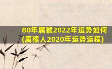 80年属猴2022年运势如何(属猴人2020年运势运程)