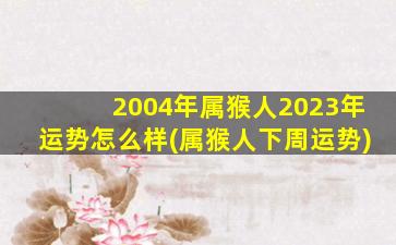 2004年属猴人2023年运势怎么样(属猴人下周运势)