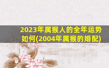 2023年属猴人的全年运势如何(2004年属猴的婚配)