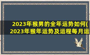 2023年猴男的全年运势如何(2023年猴年运势及运程每月运程)