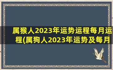 属猴人2023年运势运程每月