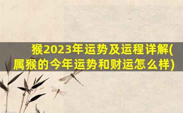 猴2023年运势及运程详解