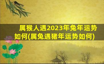 属猴人遇2023年兔年运势如