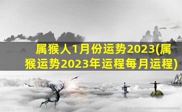 属猴人1月份运势2023(属猴