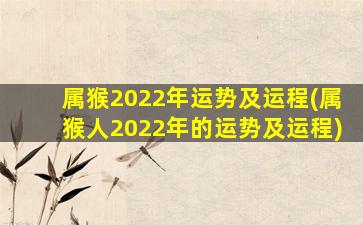 属猴2022年运势及运程(属猴