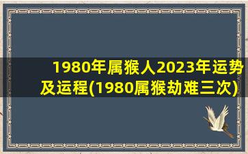 <strong>1980年属猴人2023年运势及运</strong>