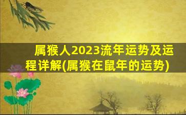 属猴人2023流年运势及运程