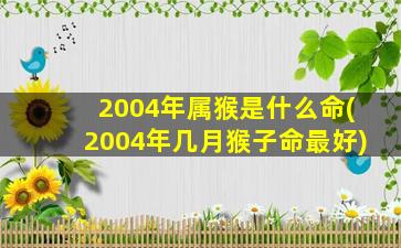 2004年属猴是什么命(2004年