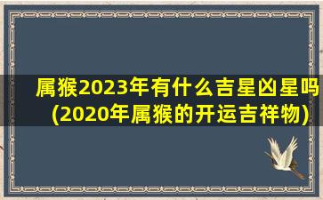 属猴2023年有什么吉星凶星吗(2020年属猴的开运吉祥物)