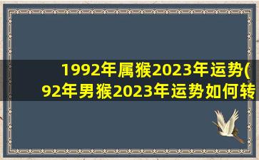 <b>1992年属猴2023年运势(92年男猴2023年运势如何转运)</b>