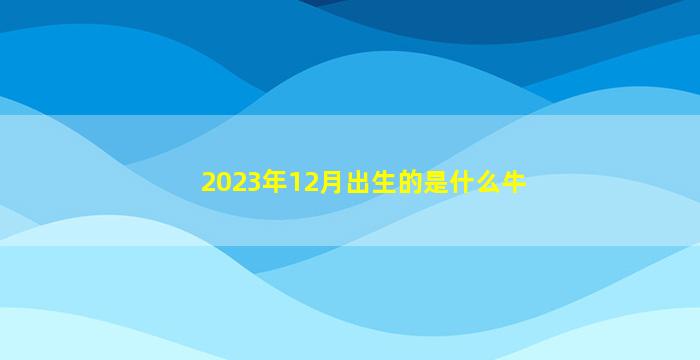 2023年12月出生的是什么牛