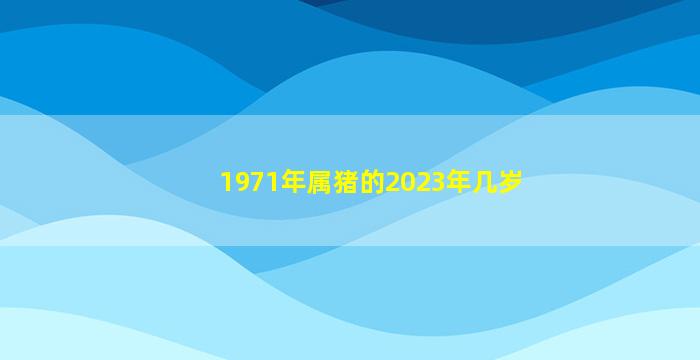 1971年属猪的2023年几岁