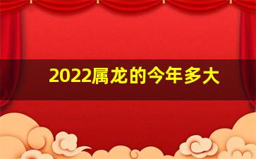 2022属龙的今年多大