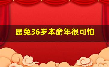 属兔36岁本命年很可怕