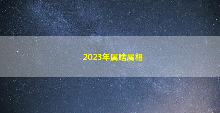 <b>2023年属啥属相</b>