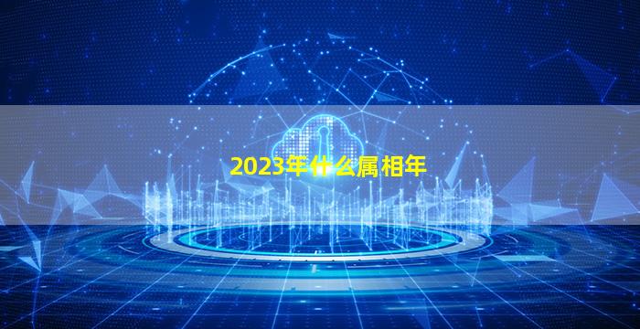 2023年什么属相年