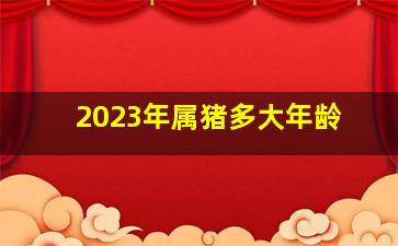 2023年属猪多大年龄