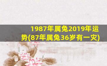 <b>1987年属兔2019年运势(87年属兔36岁有一灾)</b>