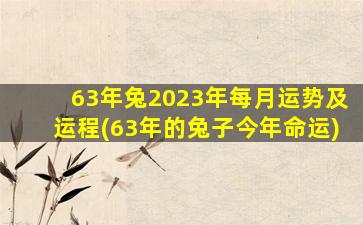 63年兔2023年每月运势及运程(63年的兔子今年命运)