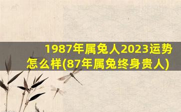 1987年属兔人2023运势怎么样(87年属兔终身贵人)