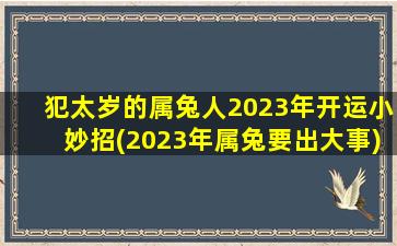 犯太岁的属兔人2023年开运小妙招(2023年属兔要出大事)