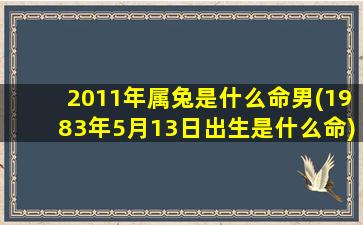 2011年属兔是什么命男(1983年5月13日出生是什么命)