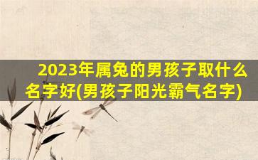 2023年属兔的男孩子取什么名字好(男孩子阳光霸气名字)