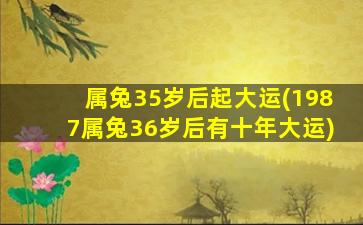 属兔35岁后起大运(1987属兔36岁后有十年大运)