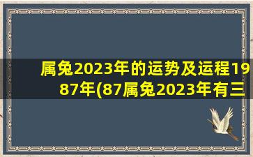 属兔2023年的运势及运程