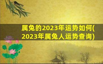 <strong>属兔的2023年运势如何(</strong>