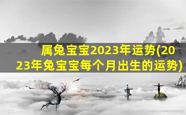 属兔宝宝2023年运势(2023年兔宝宝每个月出生的运势)