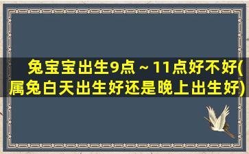 <b>兔宝宝出生9点～11点好不好(属兔白天出生好还是晚上出生好)</b>