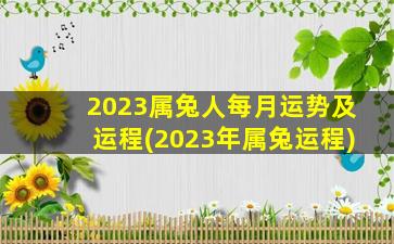 2023属兔人每月运势及运程(2023年属兔运程)